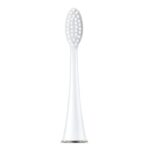 Product image 5 for Звуковая щетка CS Medica CS-333-WT